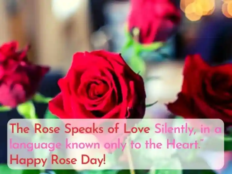 rose day