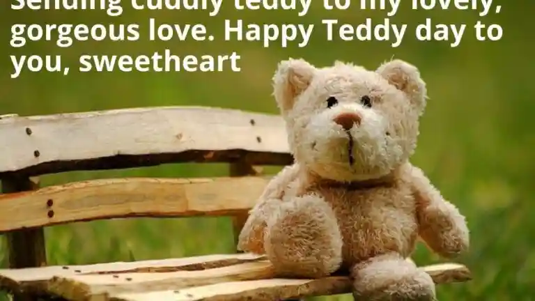 teddy day