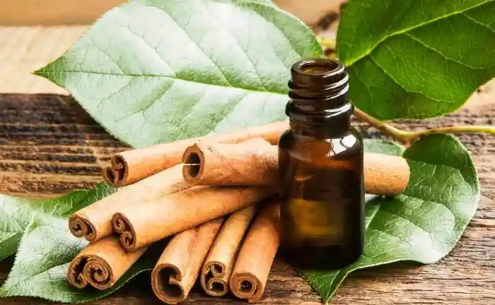 This image has an empty alt attribute; its file name is Cinnamon-Leaf-Essential-Oil.webp