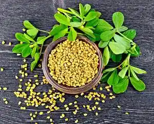 Fenugreek-Seeds