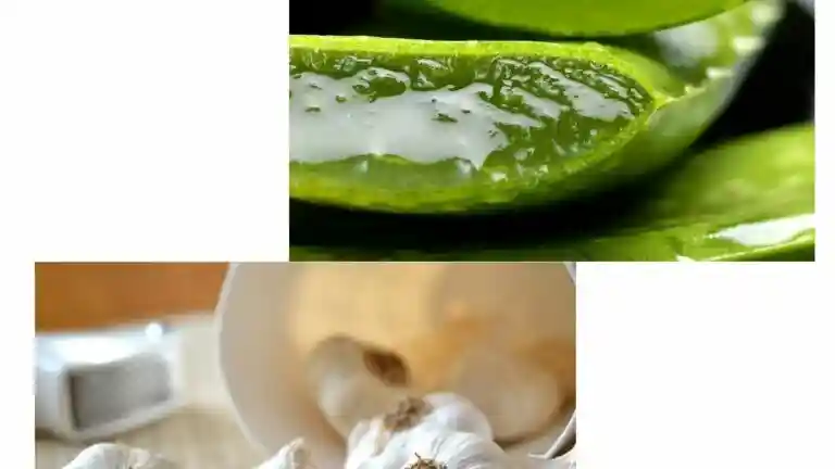 Aloe Vera And Garlic