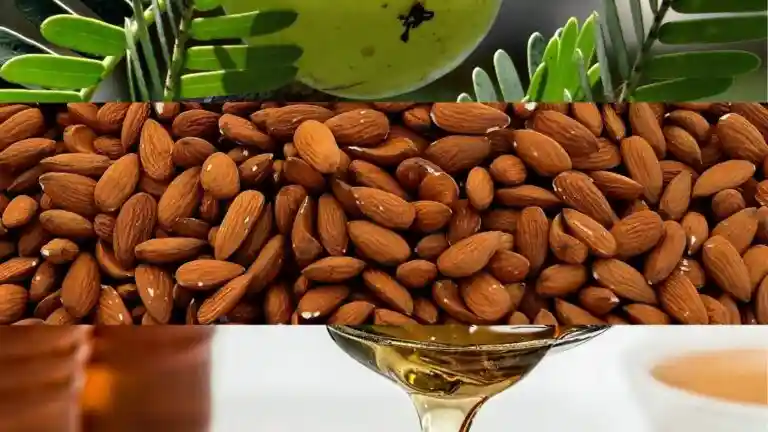 Amla Honey Almond Oil