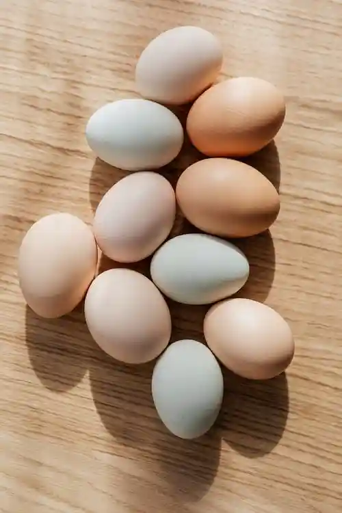 Egg