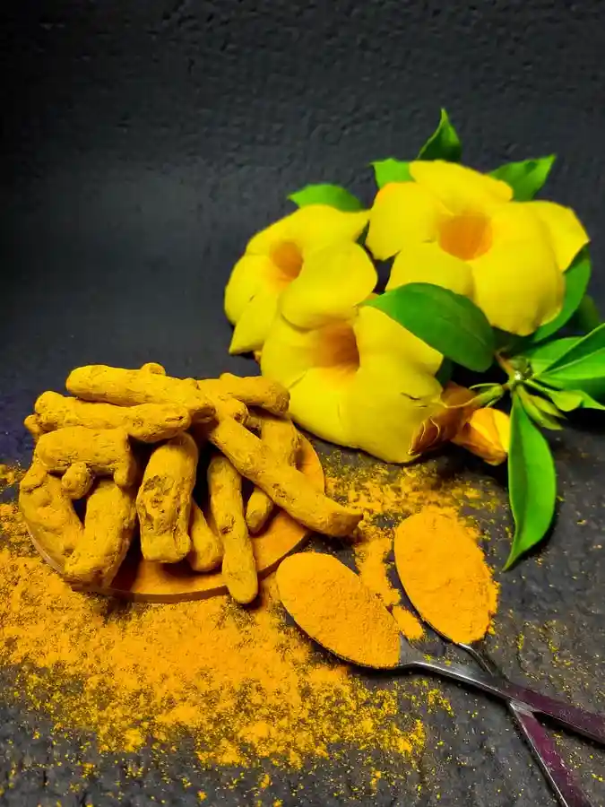 Turmeric | Haldi