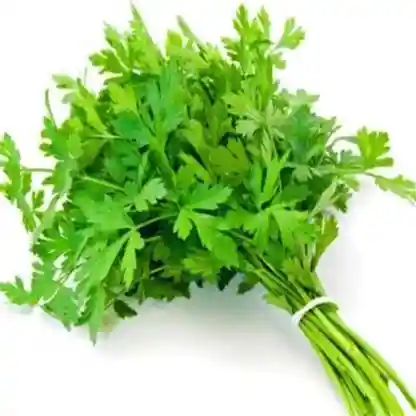 parsley for weight loss